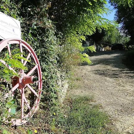 La Capanna Di Sovestro Affittacamere